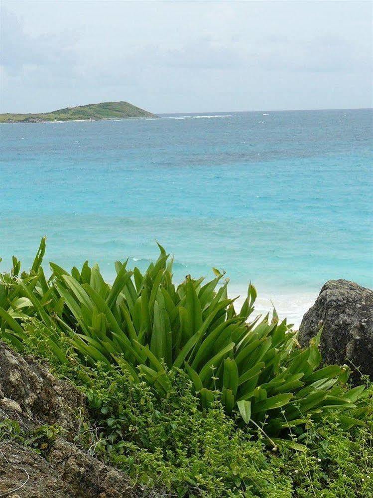 Blue Bay Beach Hotel Saint Martin Exterior foto